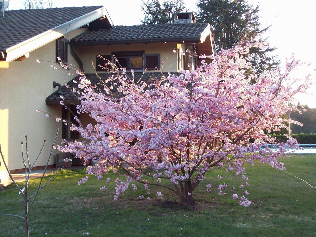 B&B Il Ciliegio Lomnago Luaran gambar